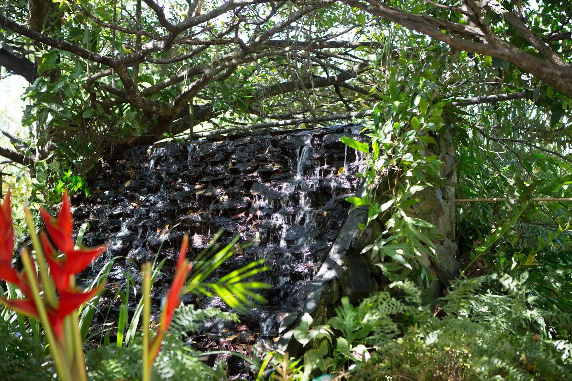 Eco Torarica Hotel Paramaribo Bagian luar foto